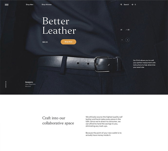 American Web Nest eCommerce Portfolio 1