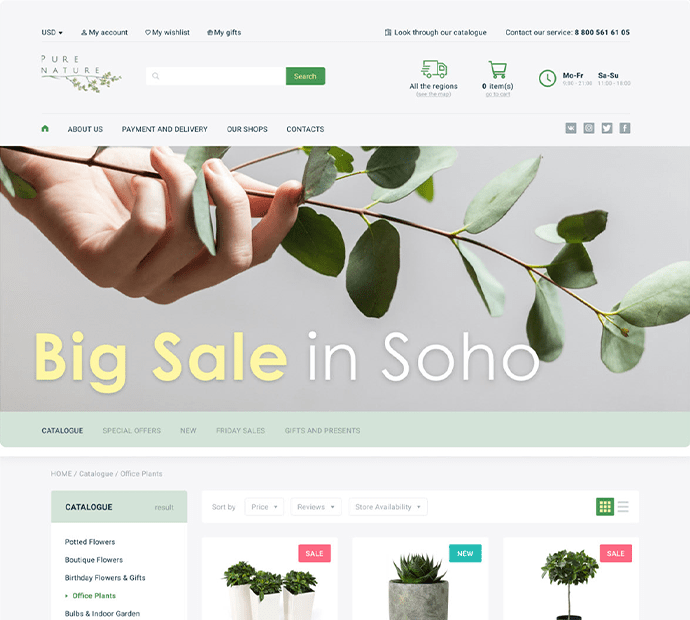 American Web Nest eCommerce Portfolio 11