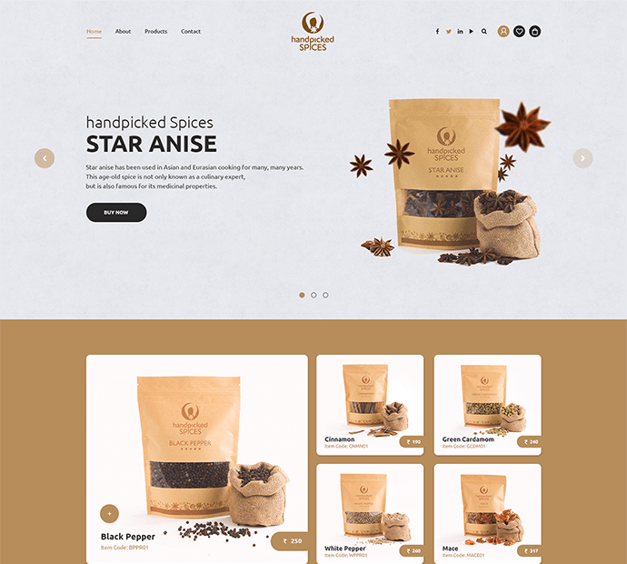 American Web Nest eCommerce Portfolio 18