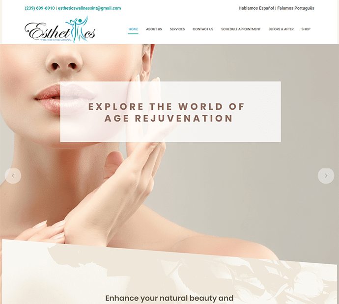 American Web Nest Web Design Portfolio 4